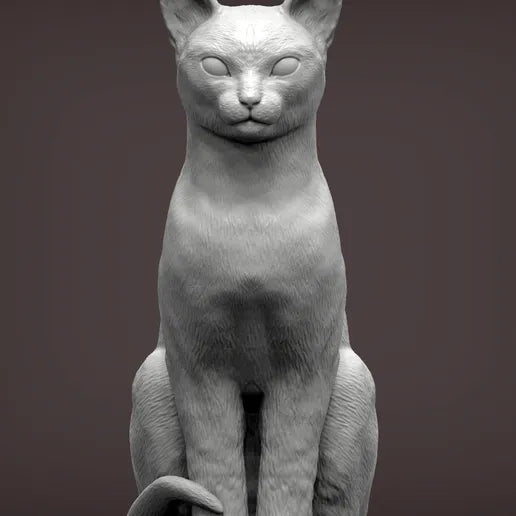 Abyssinian Cat