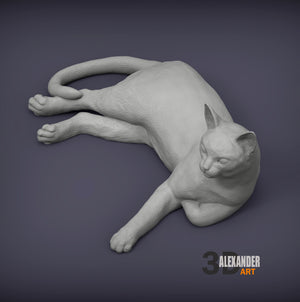 Abyssinian Cat Sculpture