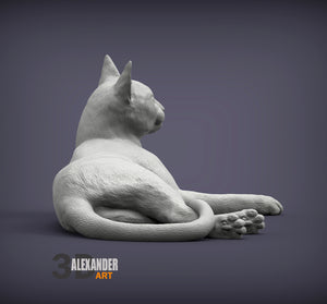 Abyssinian Cat Sculpture