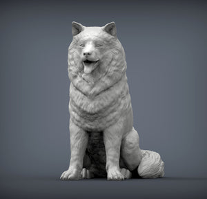Alaskan Malamute Sculpture (Sitting)