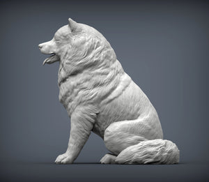 Alaskan Malamute Sculpture (Sitting)