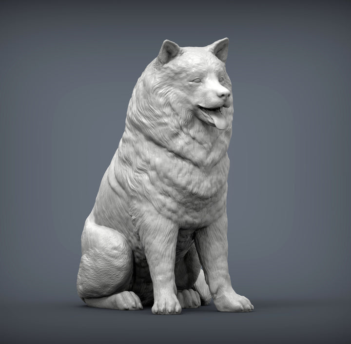 Alaskan Malamute Sculpture (Sitting)