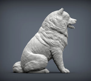 Alaskan Malamute Sculpture (Sitting)