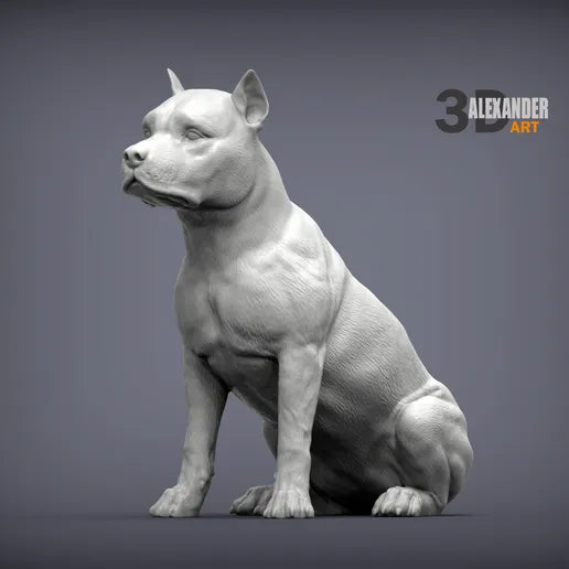 American Staffordshire Terrier