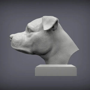 American Staffordshire Terrier Bust