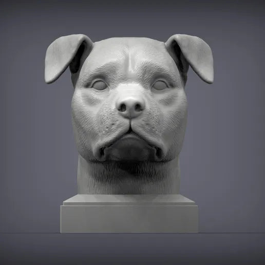 American Staffordshire Terrier Bust