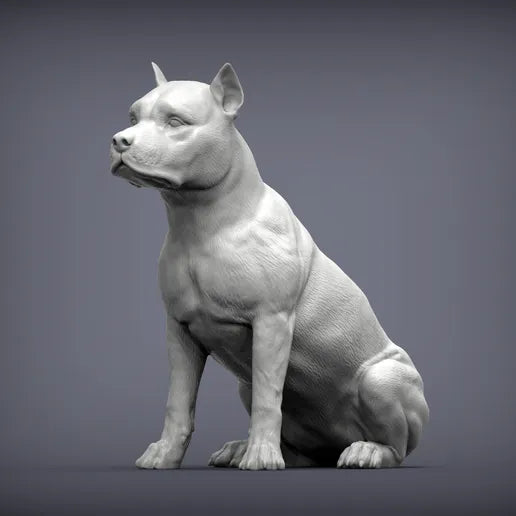 American Staffordshire Terrier