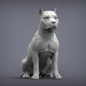 American Staffordshire Terrier