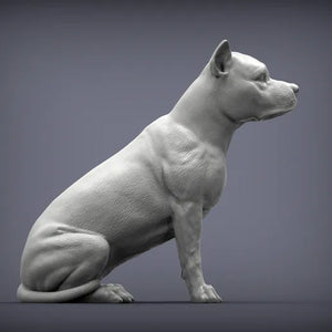 American Staffordshire Terrier