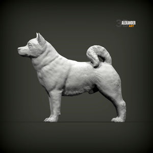Akita