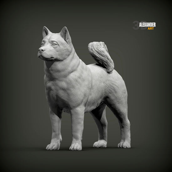Akita