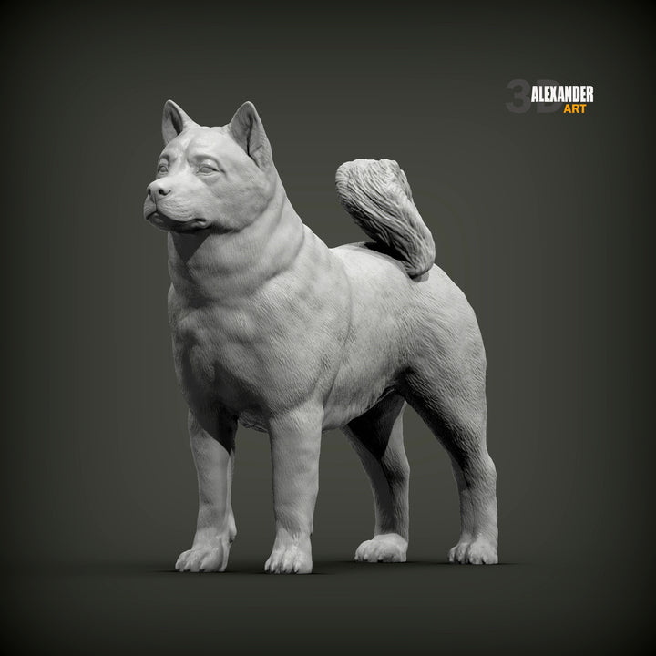 Akita