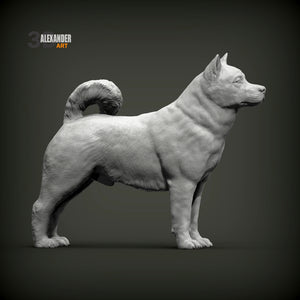 Akita