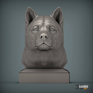 Akita Bust