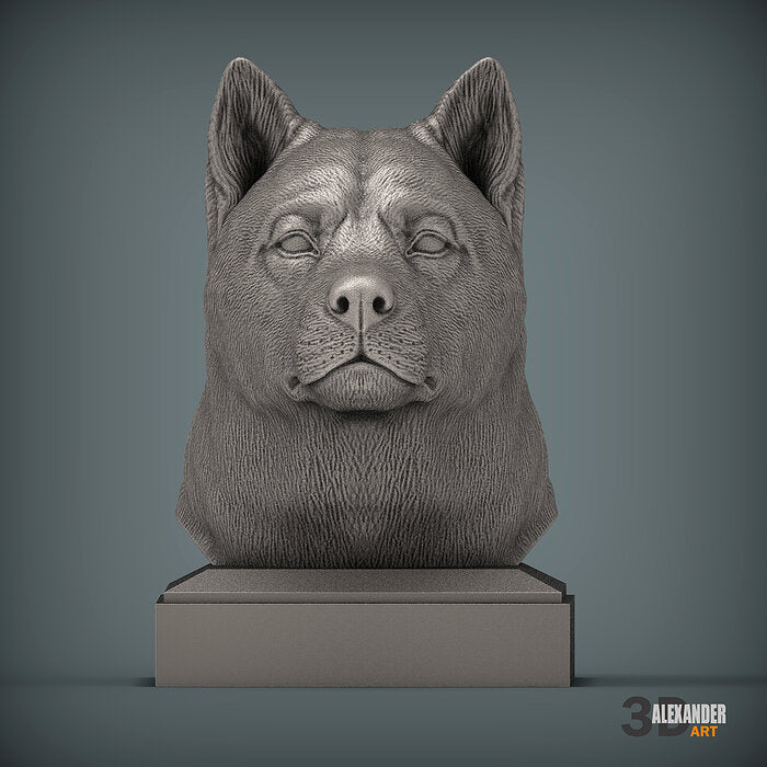 Akita Bust