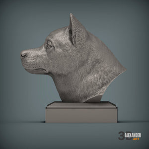 Akita Bust
