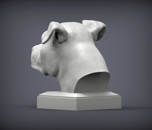 American Staffordshire Terrier Bust