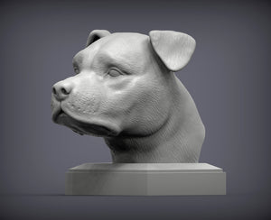 American Staffordshire Terrier Bust