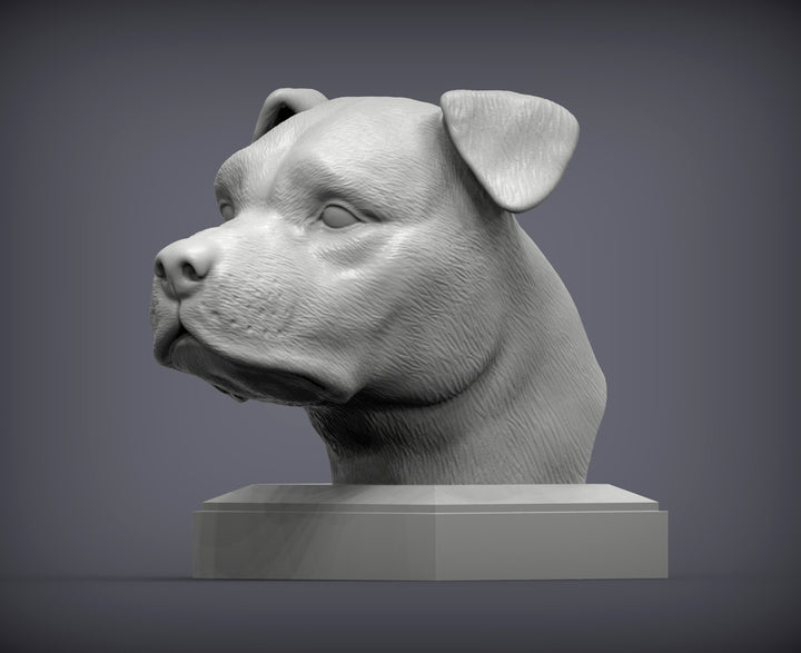 American Staffordshire Terrier Bust