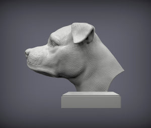 American Staffordshire Terrier Bust