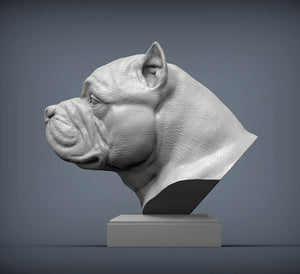 American Bully Bust