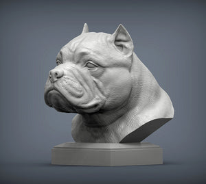 American Bully Bust