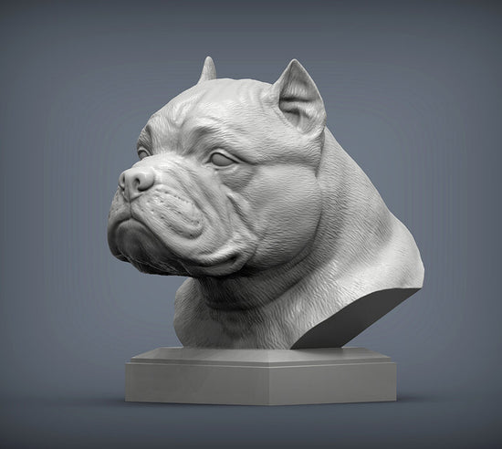 American Bully Bust