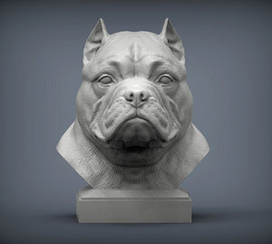 American Bully Bust
