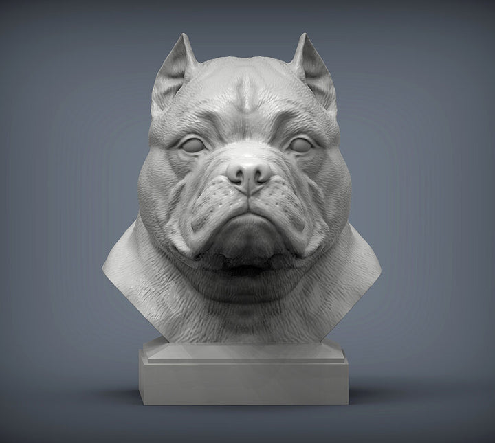 American Bully Bust