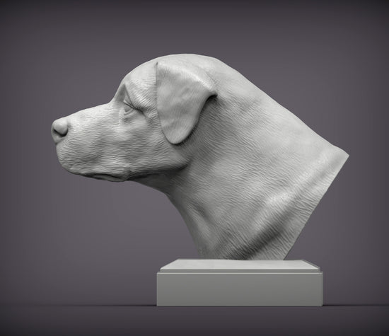 Anatolian Shepherd Bust