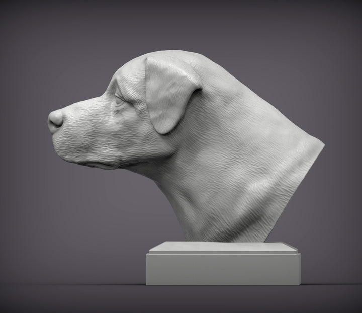 Anatolian Shepherd Bust