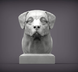 Anatolian Shepherd Bust
