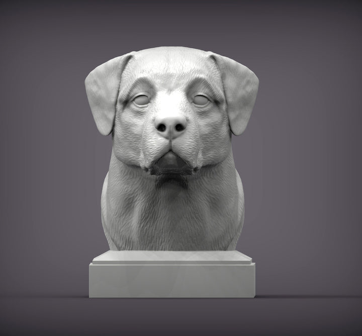 Anatolian Shepherd Bust