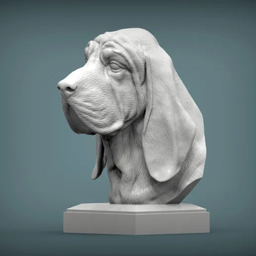 Bloodhound Bust