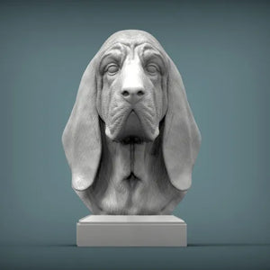 Bloodhound Bust