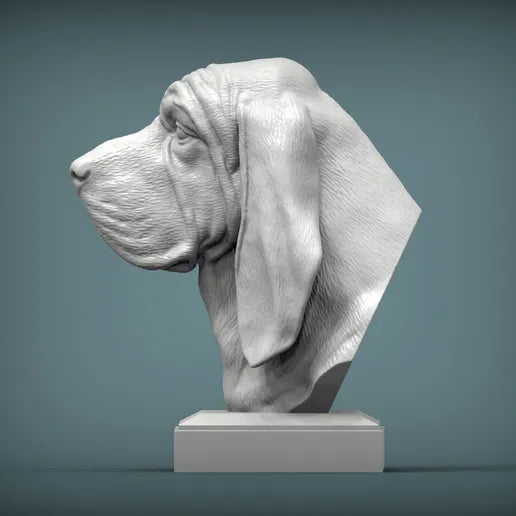 Bloodhound Bust
