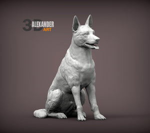 Belgian Malinois Sculpture (Sitting)