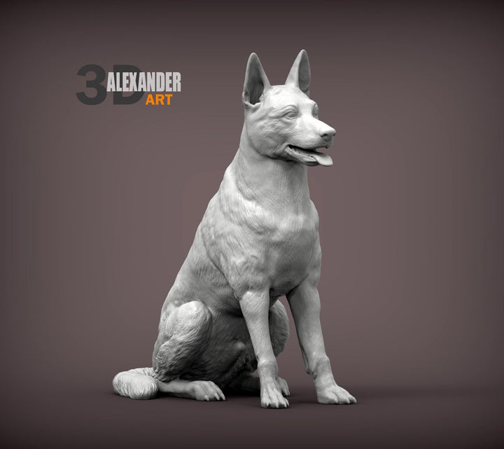 Belgian Malinois Sculpture (Sitting)
