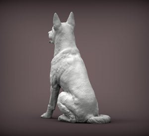 Belgian Malinois Sculpture (Sitting)