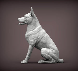 Belgian Malinois Sculpture (Sitting)