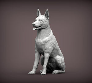 Belgian Malinois Sculpture (Sitting)