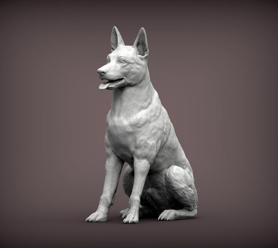 Belgian Malinois Sculpture (Sitting)