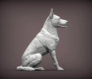 Belgian Malinois Sculpture (Sitting)