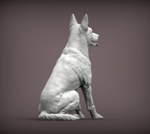 Belgian Malinois Sculpture (Sitting)
