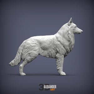 Belgian Sheepdog Sculpture
