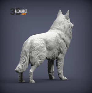 Belgian Sheepdog Sculpture