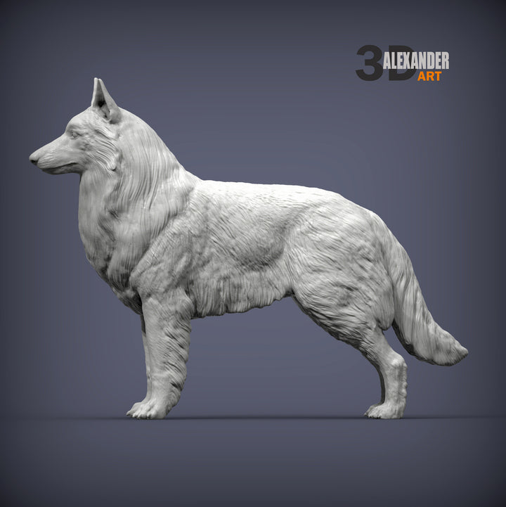 Belgian Sheepdog Sculpture