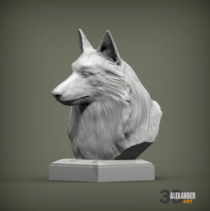 Belgian Shepherd Bust