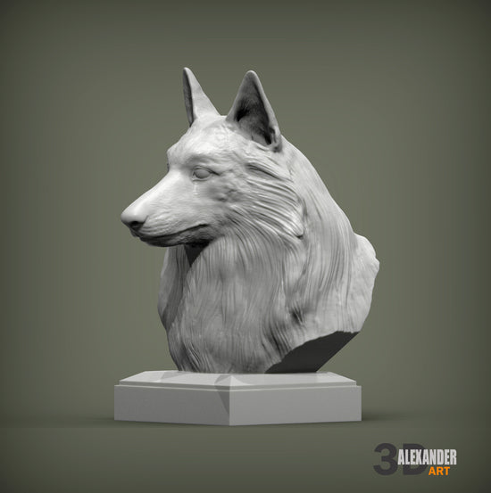 Belgian Shepherd Bust