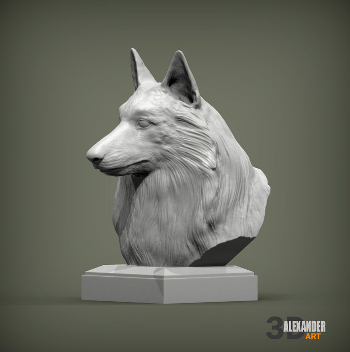Belgian Shepherd Bust